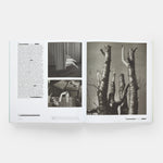 Vitamin C+: Collage in Contemporary Art