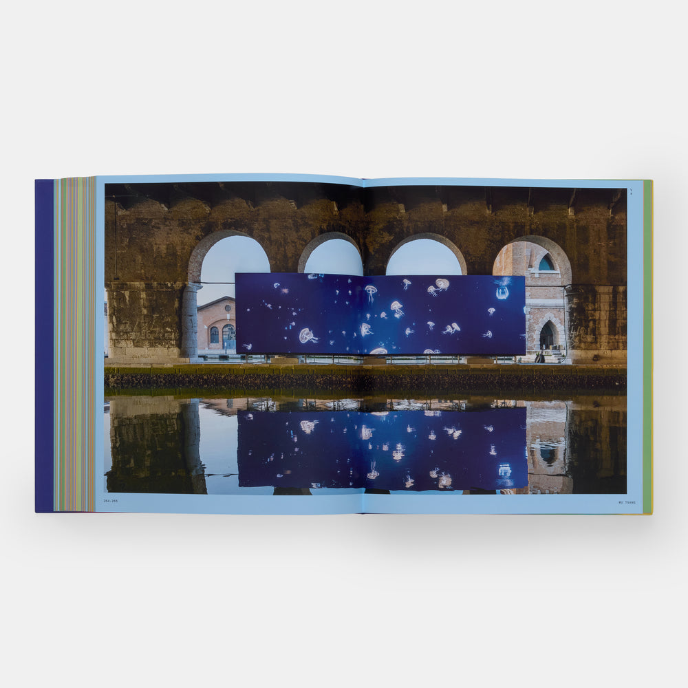 Vitamin V: Video and the Moving Image in Contemporary Art