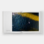 Water Views: Rivers Lakes Oceans