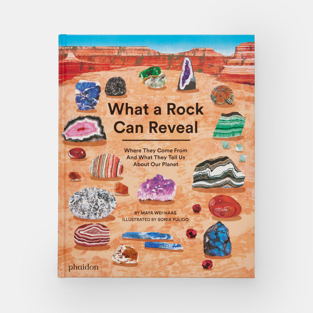 What a Rock Can Reveal: Where They Come From And What They Tell Us About Our Planet