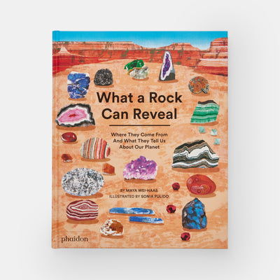 What a Rock Can Reveal: Where They Come From And What They Tell Us About Our Planet