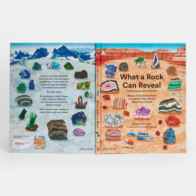 What a Rock Can Reveal: Where They Come From And What They Tell Us About Our Planet