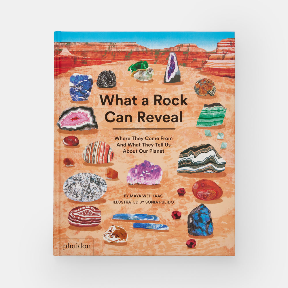 What a Rock Can Reveal: Where They Come From And What They Tell Us About Our Planet