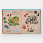 What a Rock Can Reveal: Where They Come From And What They Tell Us About Our Planet