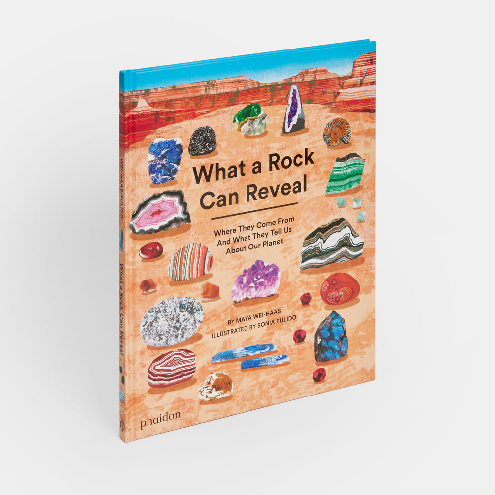 What a Rock Can Reveal: Where They Come From And What They Tell Us About Our Planet