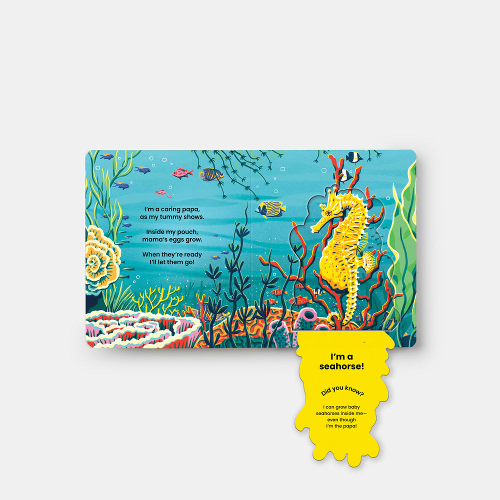 WHO'S HIDING? Under the Sea: A Lift-the-Flap Book