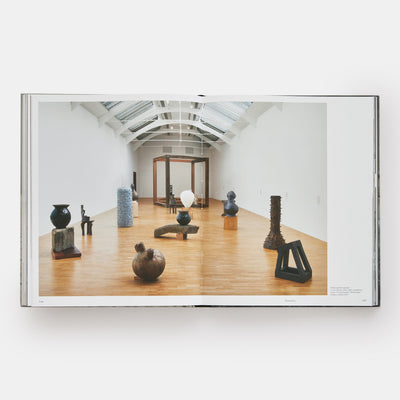 Theaster Gates: Young Lords and Their Traces