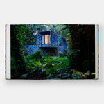 Young Projects: Figure, Cast, Frame