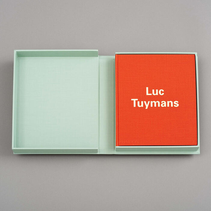 Luc Tuymans: The Worshipper, 2004