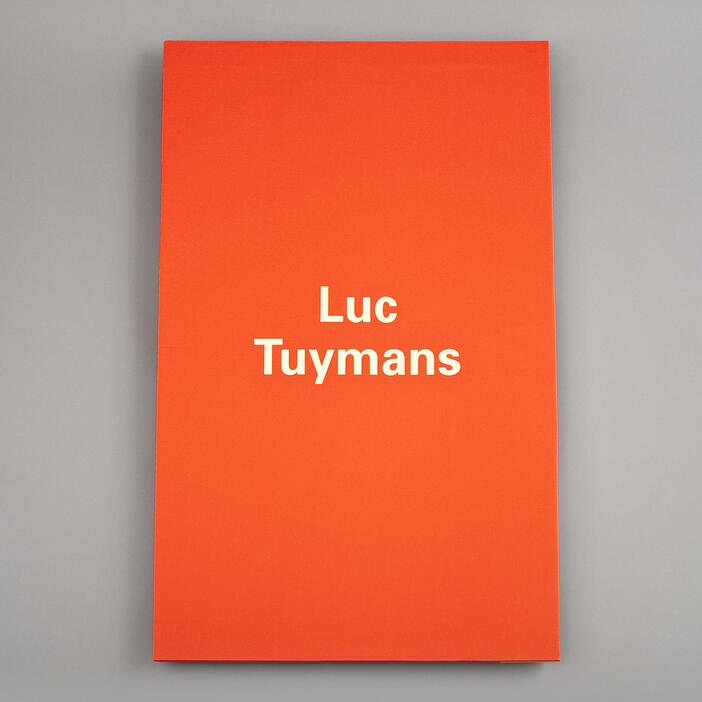 Luc Tuymans: The Worshipper, 2004