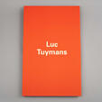 Luc Tuymans: The Worshipper, 2004