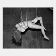 Nobuyoshi Araki: Untitled, 1997