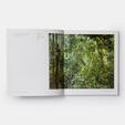 The Nature of Photographs
