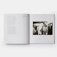 The Nature of Photographs