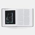 Steven Holl