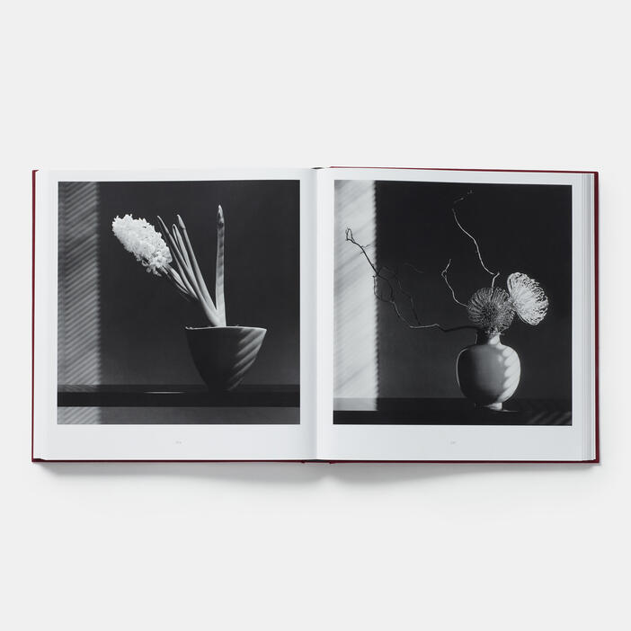 Mapplethorpe Flora