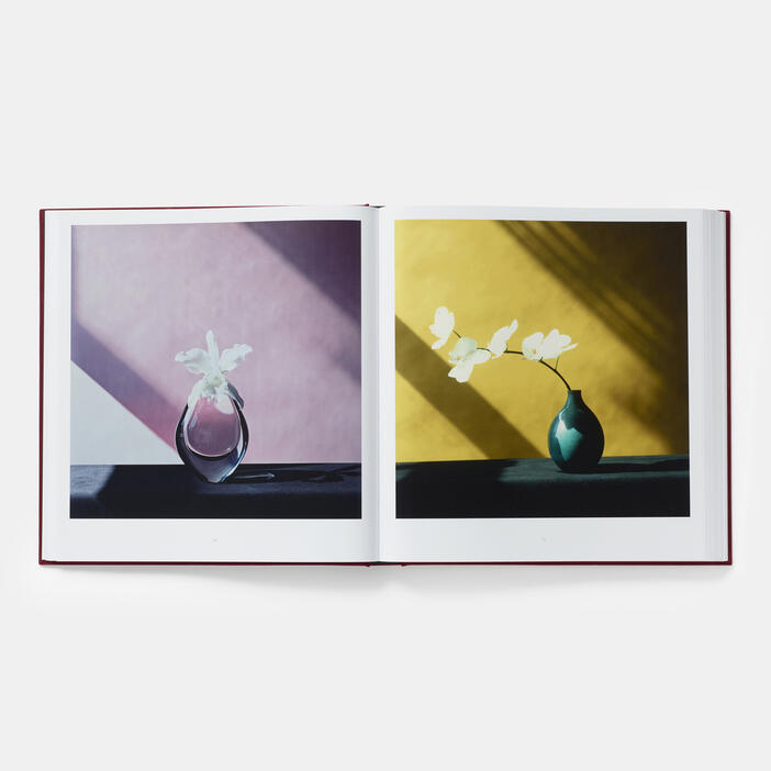 Mapplethorpe Flora