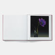 Mapplethorpe Flora