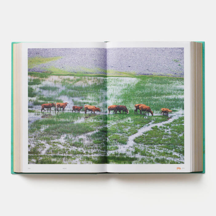 China, The Cookbook