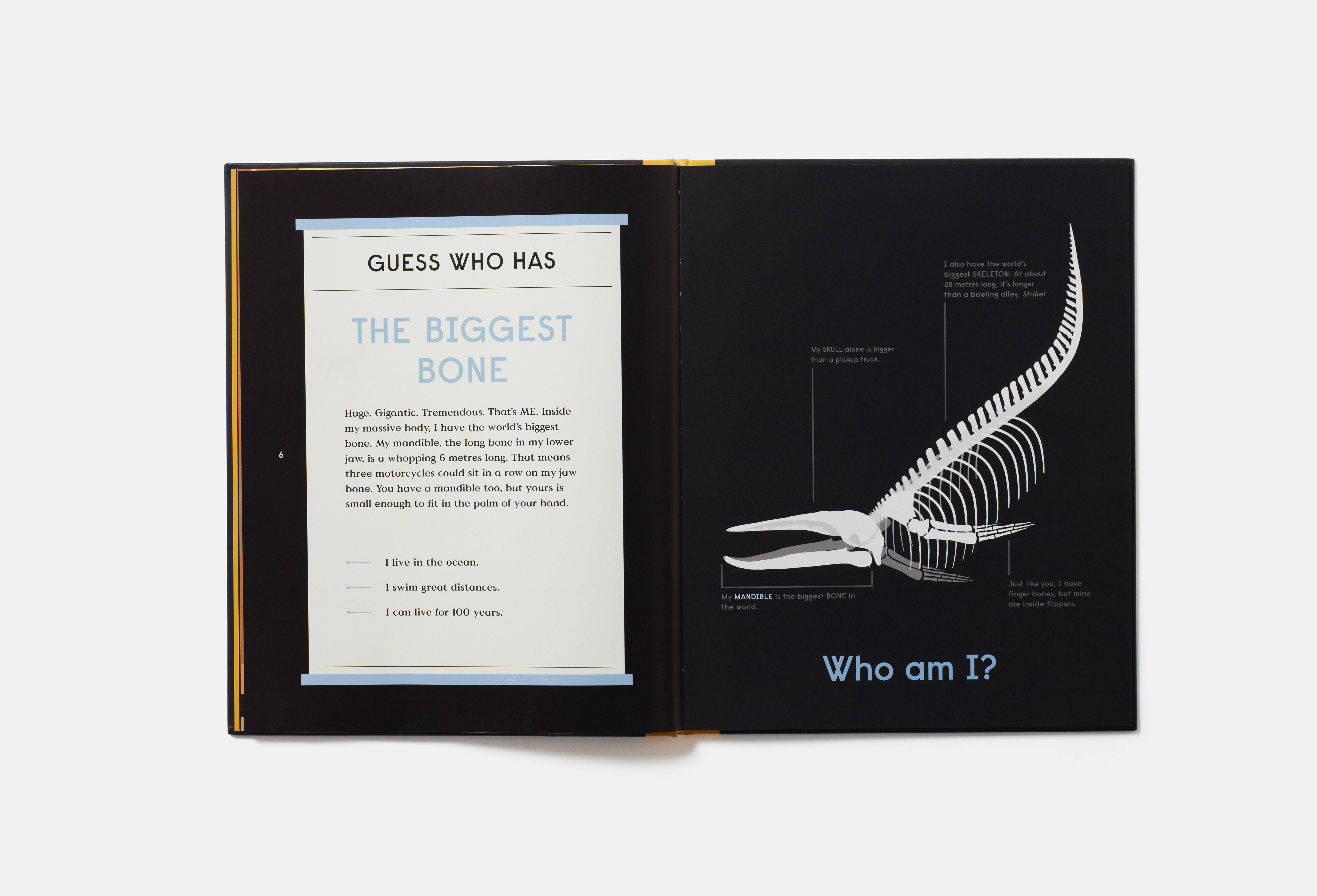 Meet the Phaidon Kids illustrator - Sam Brewster