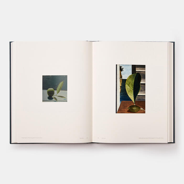 Lucian Freud Slices Of Life The Early Years Art Agenda Phaidon