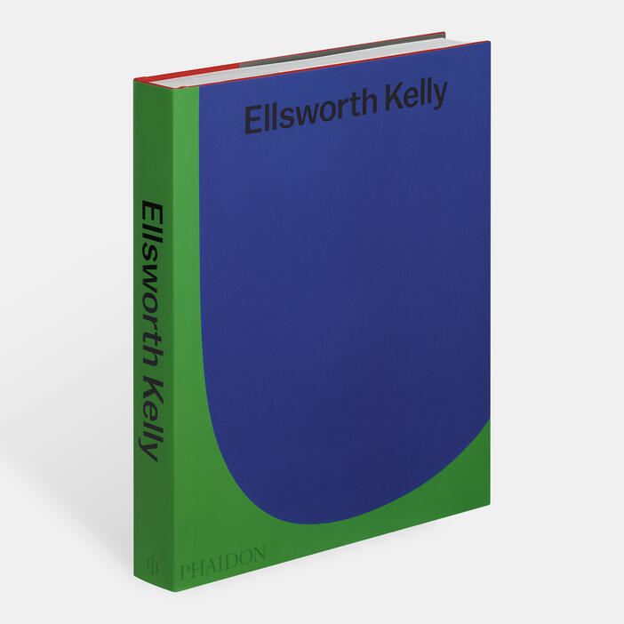 Ellsworth Kelly Silk Scarf – The Modern Shop