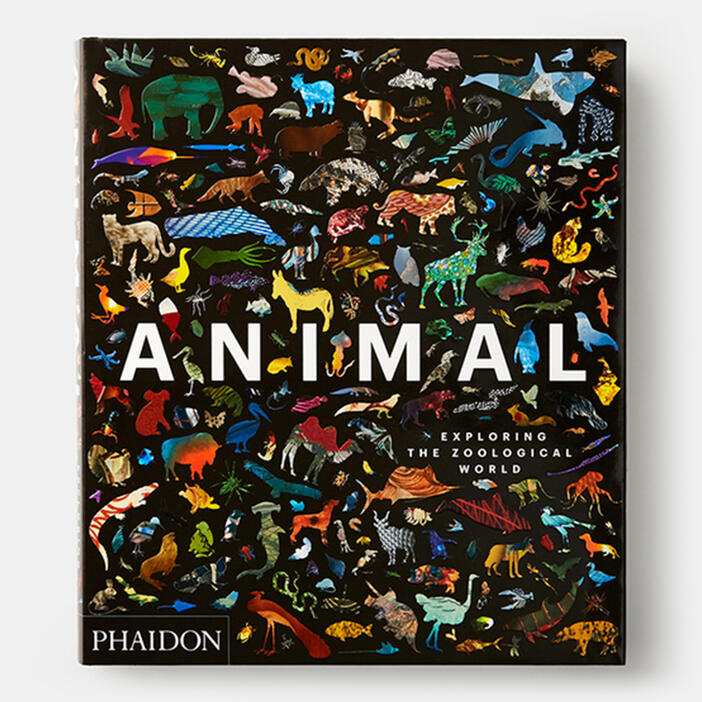 Animal | Art | Store | Phaidon