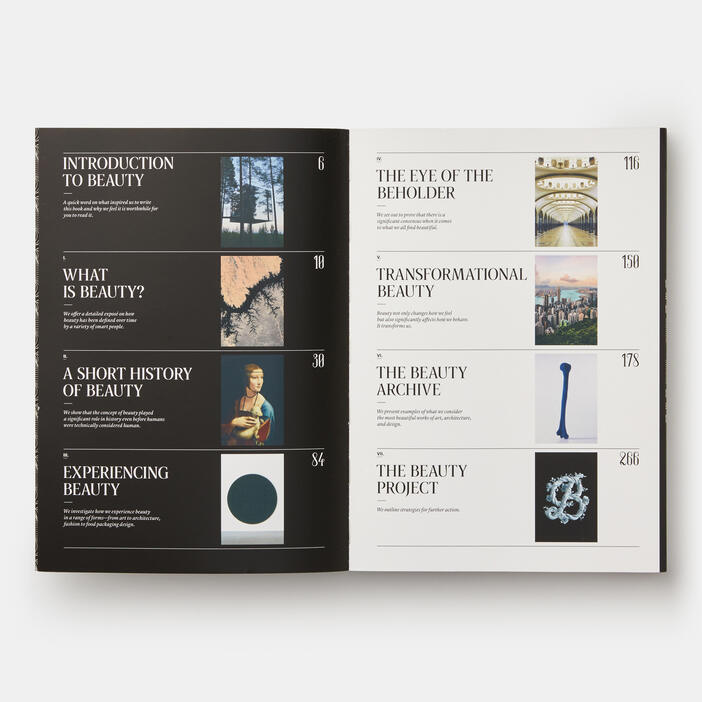 Sagmeister & Walsh: Beauty