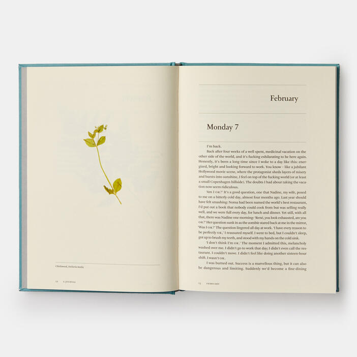 A Work in Progress, A Journal
