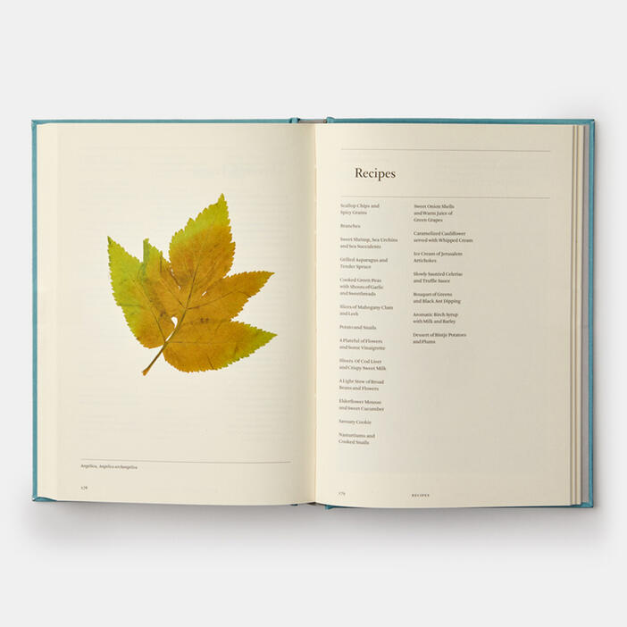 A Work in Progress, A Journal