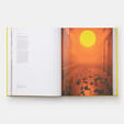 Olafur Eliasson: Experience