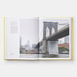 Olafur Eliasson: Experience