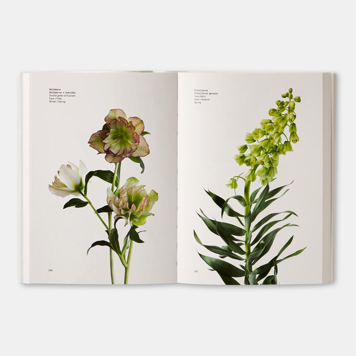 Flower Colour Guide