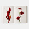 Flower Colour Guide