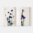 Flower Colour Guide