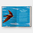 Book of Flight