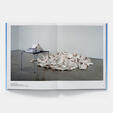 Hans Haacke