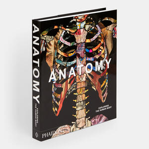 Anatomy, Exploring the Human Body