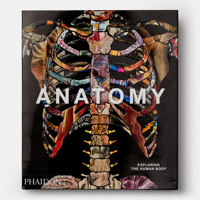 Anatomy, Exploring the Human Body