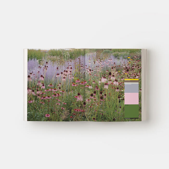 Landscapes in Landscapes