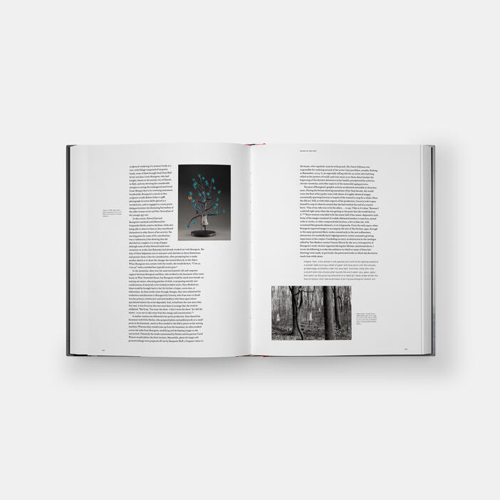 Intimate Geometries: The Art and Life of Louise Bourgeois – Mona Shop