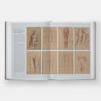 Basic Human Anatomy