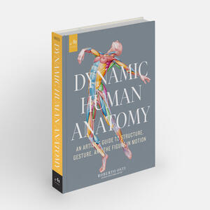 Dynamic Human Anatomy: An Artist's Guide to Structure, Gesture, and the Figure in Motion