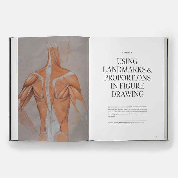 Dynamic Human Anatomy: An Artist's Guide to Structure, Gesture, and the Figure in Motion