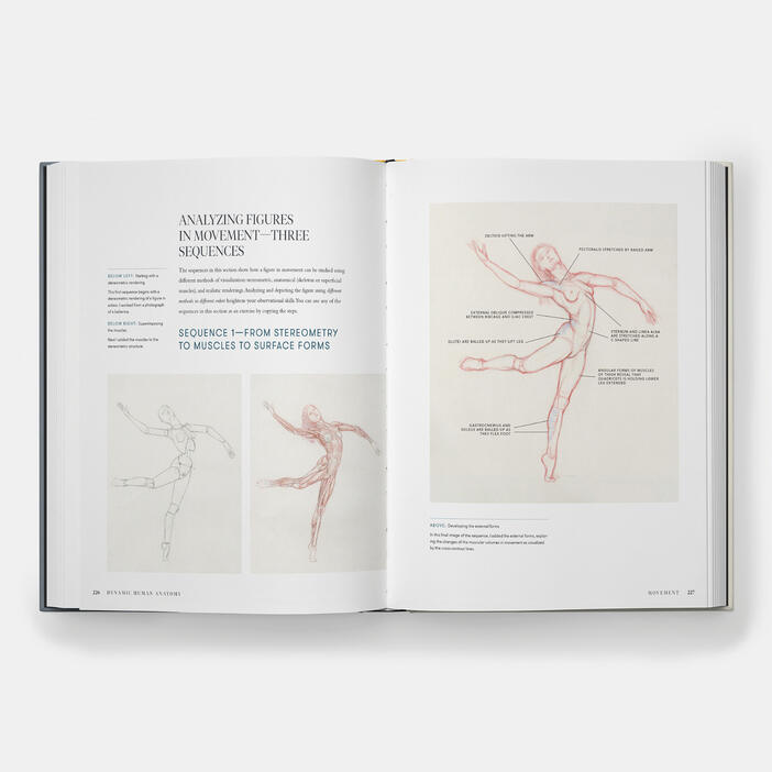 Dynamic Human Anatomy: An Artist's Guide to Structure, Gesture, and the Figure in Motion