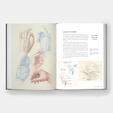 Dynamic Human Anatomy: An Artist's Guide to Structure, Gesture, and the Figure in Motion