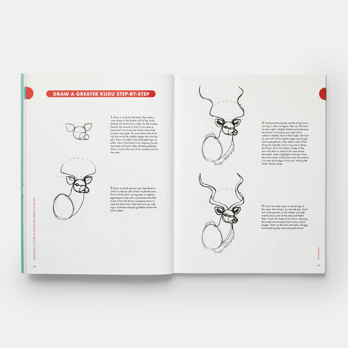 Artist's Guide to Drawing World Wildlife: Essential Step-by-Step