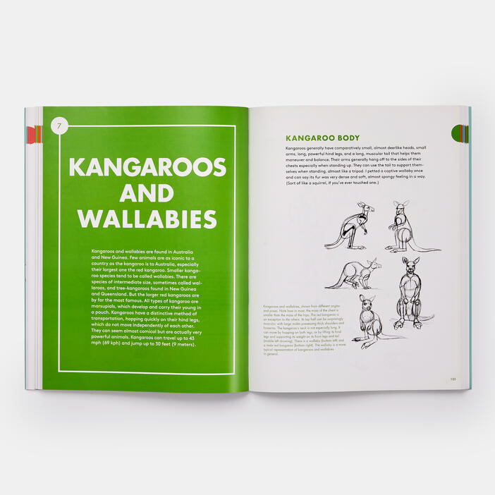 Artist's Guide to Drawing World Wildlife: Essential Step-by-Step Lessons for Beginners