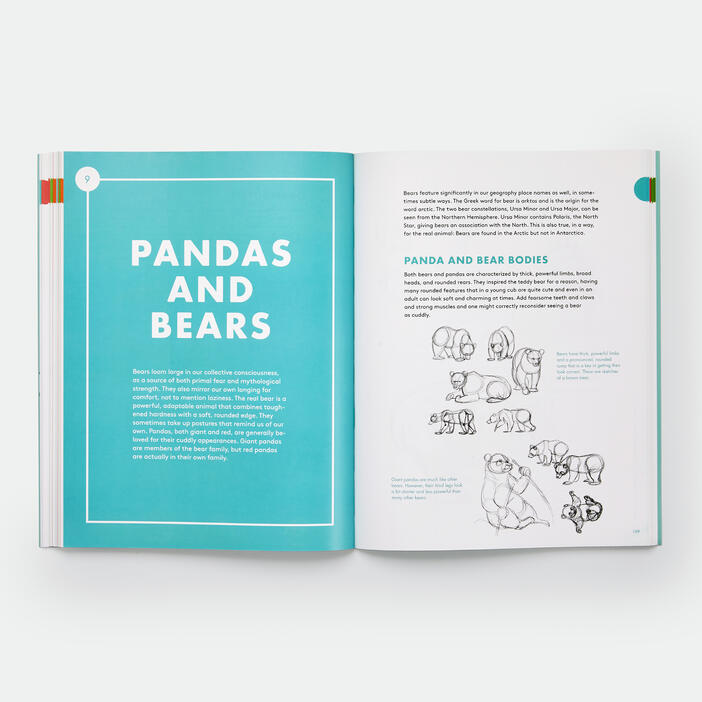 Artist's Guide to Drawing World Wildlife: Essential Step-by-Step Lessons for Beginners