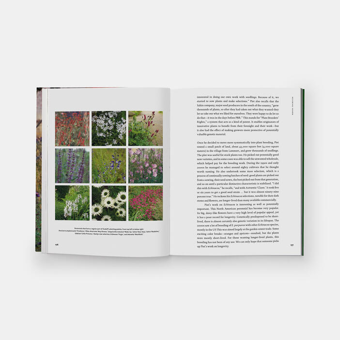 Hummelo: A Journey Through a Plantsman's Life